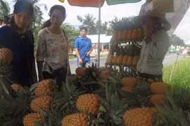 Hau Giang province urged to make greater development efforts