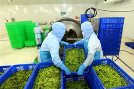 An Giang’s export staples enjoy high growth in Q1