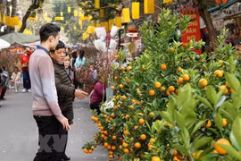 Foreign diplomats extend Tet greetings to Vietnamese people