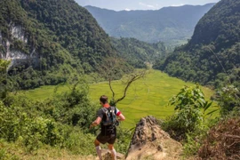 Nearly 1,000 people to run in Vietnam Jungle Marathon 2019