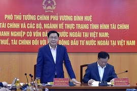 Incentives should be applied for effective FDI firms: Deputy PM