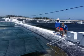 Quang Nam province debuts nano-tech shrimp farms