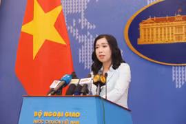 Spokeswoman makes clear Vietnam’s views on trade fraud, sea-related issues