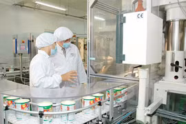 Vietnamese brands try to milk markets across globe