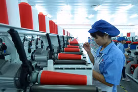 Vietnam needs to improve economic resilience: experts