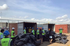 Over 5 tonnes of pangolin scales discovered in Ba Ria-Vung Tau
