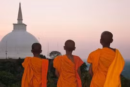 Vietnam, Sri Lanka step up cooperation in culture