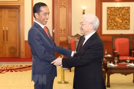 Vietnam-Indonesia ties develop on solid foundation: Ambassador