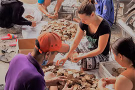Ben Tre coconut products to be sold online