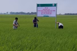 Vietnam to promote exports of organic fertilisers