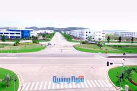 Another 321 million USD of FDI comes to VSIP Quang Ngai
