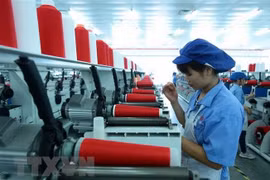 New Party resolution issued to direct flow of foreign investment 