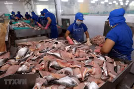 Vietnam’s tra fish exports to ASEAN up 18 percent