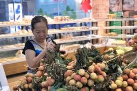 Saigon Co.op takes northern lychees around the country