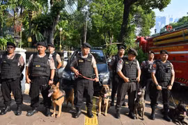 Indonesia establishes military elite unit to fight terrorism
