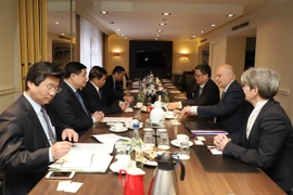 Vietnam-Germany strategic partnership enters new development period: minister 