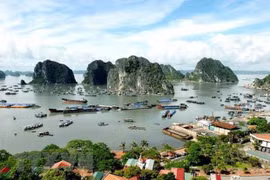 Ha Long-Cat Ba Alliance helps enhance efficiency of heritage management