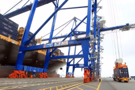 Hai Phong int’l terminal welcomes first container ship
