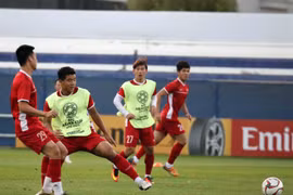 Vietnam aim to become giant-killing at Asian Cup