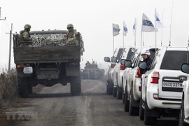 Vietnamese ambassador visits Ukraine’s conflict area