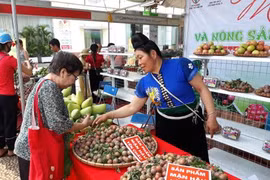 Son La’s agricultural products promoted in Hanoi