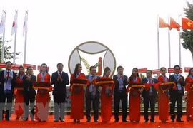 Can Tho works to enhance investment, trade bond with Japan 