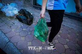 Vietnam works toward no plastic waste community