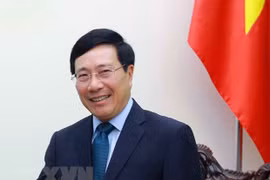 Vietnam’s diplomatic achievements in 2019