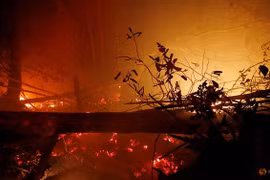 Indonesia: Forest fires burn 1.6 million hectares of land