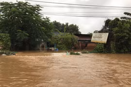 Floods take heavy toll on Central Highlands
