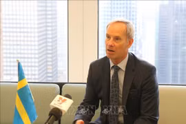 Vietnam has good chances to come to UNSC: Swedish diplomat