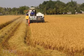 Universities, firms join hands in training high-quality agriculture workforce