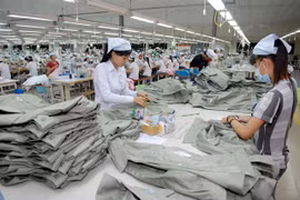Labour market adjusting to disruptive change