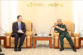 Vietnam, US step up defence ties 