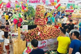 Binh Thuan’s dragon fruits promoted in Hanoi