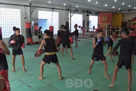 Second Vietnam int’l traditional martial arts festival kicks off in Binh Dinh