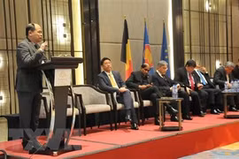 EVFTA to create new opportunities for Vietnam: official 