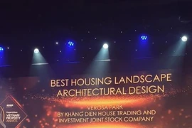 Vietnam's best developers honoured in awards programme