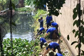 Green Summer volunteers clean up canals, build roads and houses