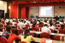 Conference reviews preservation of Trang An complex