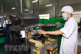 CPTPP brings opportunities, challenges to Vietnam’s agriculture 