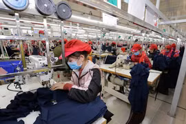 Exports bring home 20 billion USD in January
