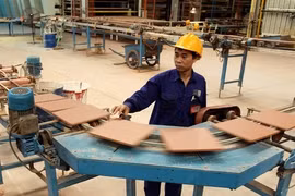 Viglacera to list shares on southern bourse 