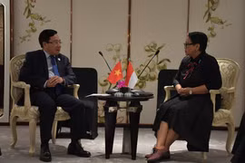 Vietnam resolved to beef up ties with Indonesia: Deputy PM