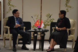 Vietnam resolved to beef up ties with Indonesia: Deputy PM