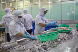 Seafood exporters advised to boost links with Chinese restaurants, hotels