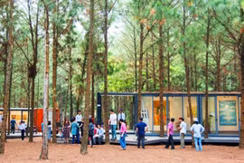  “Art in the Forest" exhibition opens