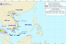 Storm Pabuk causes downpours in southern Vietnamese provinces 
