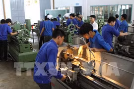 Germany looks to draw human resources from Vietnam