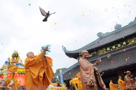 Ha Nam shows active coordination in hosting UN Vesak Day 2019